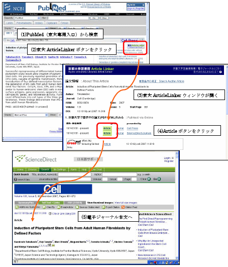 PubMed→京大ArticleLinker→論文本文(PDF/HTML)