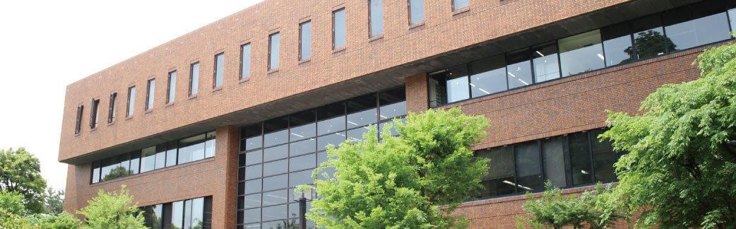 図書館の画像 3