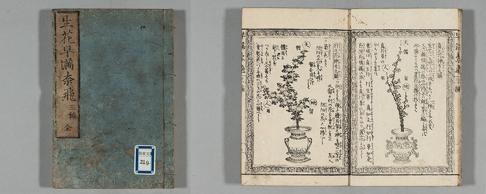 生花早満奈飛